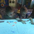 IMG_2085-31-08-20-01-58.jpg